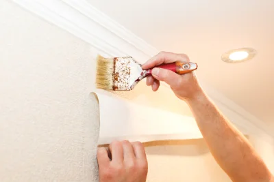 Pose de papier peint à Boule-d'Amont — revêtements muraux et toiles de verre